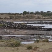  The Serengeti, TZ